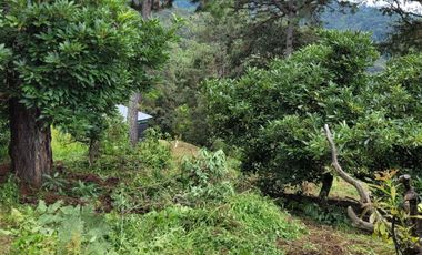 RANCHO AGUACATERO EN VENTA