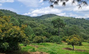 RANCHO AGUACATERO EN VENTA