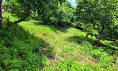 RANCHO AGUACATERO EN VENTA