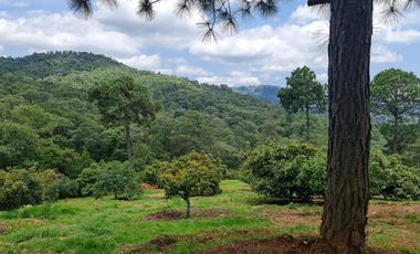 RANCHO AGUACATERO EN VENTA