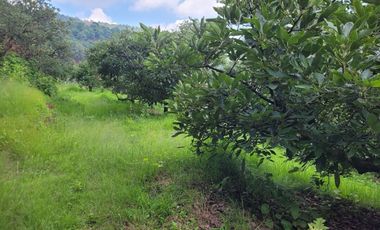 RANCHO AGUACATERO EN VENTA