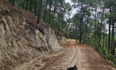 RANCHO AGUACATERO EN VENTA