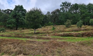 RANCHO AGUACATERO EN VENTA