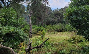 RANCHO AGUACATERO EN VENTA