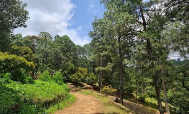 RANCHO AGUACATERO EN VENTA