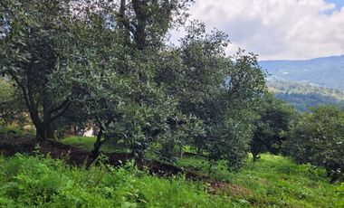 RANCHO AGUACATERO EN VENTA