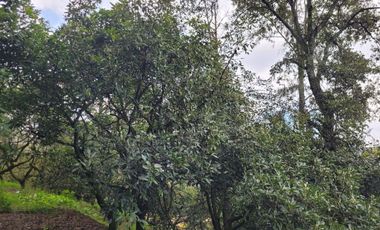 RANCHO AGUACATERO EN VENTA