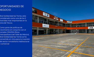 Plaza las Torres, Toluca