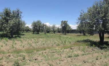 Terreno en venta en Primero, Huejotzingo, Puebla