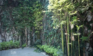 Loft en renta en Puebla Centro, Puebla, Puebla Barrio Santiago