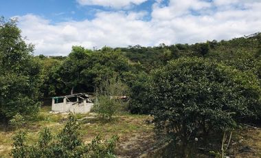 Venta terreno Gayllabamba plano con escrituras individuales 4.200m2