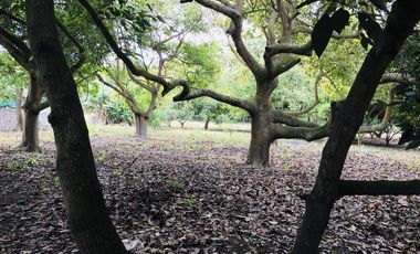 Venta terreno Gayllabamba plano con escrituras individuales 4.200m2