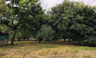 Venta terreno Gayllabamba plano con escrituras individuales 4.200m2