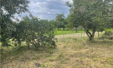 Lote en venta Condominio campestre La Acuarela - La Buitrera Palmira