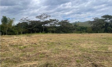 Lote en venta Condominio campestre La Acuarela - La Buitrera Palmira