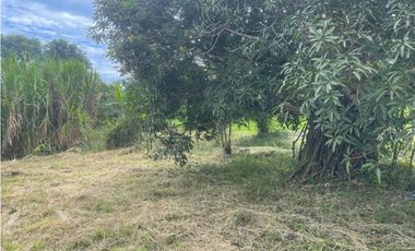 Lote en venta Condominio campestre La Acuarela - La Buitrera Palmira