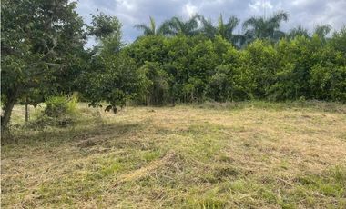 Lote en venta Condominio campestre La Acuarela - La Buitrera Palmira