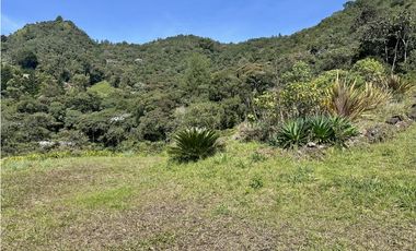 Venta De Lote El Retiro