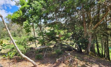 Venta lote en El Retiro via Don Diego - La Ceja