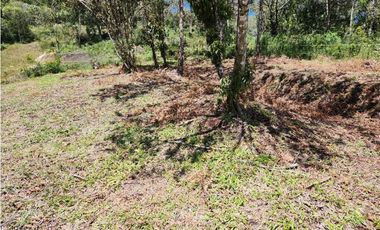 Venta lote en El Retiro via Don Diego - La Ceja