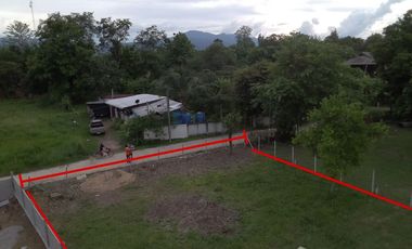 Land for sale in San Pong, Chiang Mai