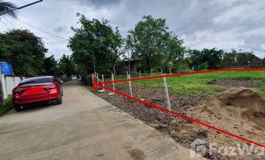 Land for sale in San Pong, Chiang Mai