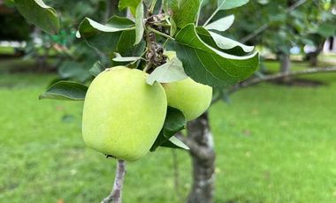 Quinta en venta Hda Los Guzmán