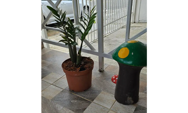 LAS CUMBRES / ALAMEDA / 130M / 3 HABITACION / TERRAZA