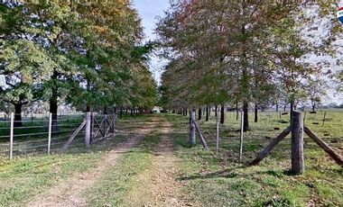 VENTA CASA SOBRE GRAN CAMPO EN MARCOS PAZ