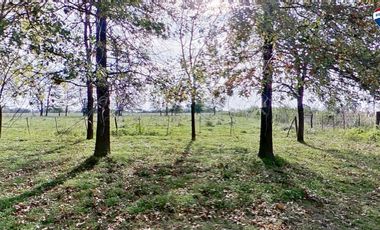 VENTA CASA SOBRE GRAN CAMPO EN MARCOS PAZ