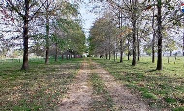 VENTA CASA SOBRE GRAN CAMPO EN MARCOS PAZ