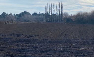 Parcela en venta en NEGRETE