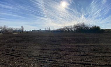 Parcela en venta en NEGRETE