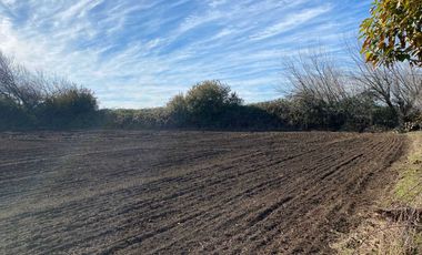 Parcela en venta en NEGRETE