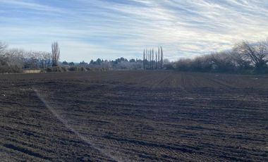 Parcela en venta en NEGRETE