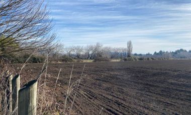 Parcela en venta en NEGRETE