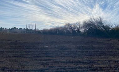 Parcela en venta en NEGRETE