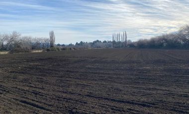 Parcela en venta en NEGRETE