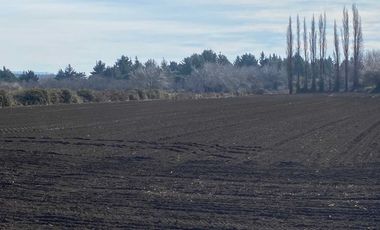 Parcela en venta en NEGRETE