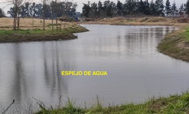 CASA VENTA PRADERAS 57 CAÑUELAS 4 AMBIENTES COCHER