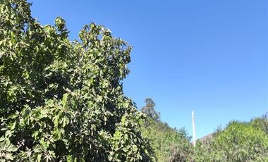 Parcela en Venta en Kilometro 37 El Maiten, Lote 18