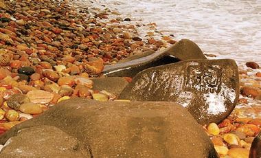 TORAM Residencial y Parque Ecoturístico