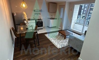 Departamento en Arriendo en Sector Las Animas