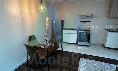 Departamento en Arriendo en Sector Las Animas