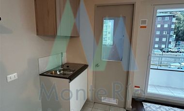 Departamento en Arriendo en Sector Las Animas
