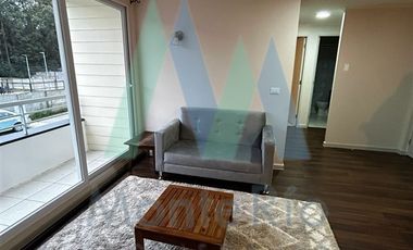 Departamento en Arriendo en Sector Las Animas