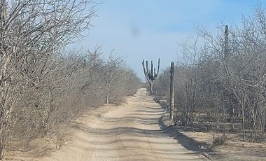 Terreno Campestre 1500 mt2 en San Pedro,