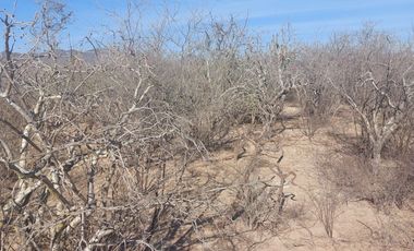 Terreno Campestre 1500 mt2 en San Pedro,