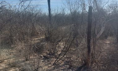 Terreno Campestre 1500 mt2 en San Pedro,