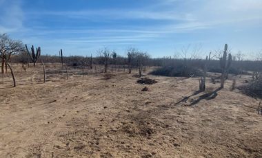 Terreno Campestre 1500 mt2 en San Pedro,
